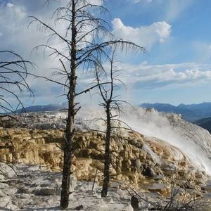 Meet your Posher, Tripti